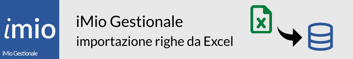 iMio Gestionale Importazione righe da documenti in Excel