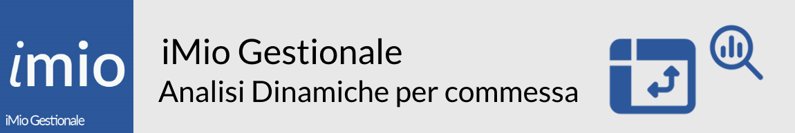 iMio Gestionale Analisi Dinamiche per commessa